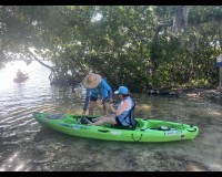 Mangrove Tunnel Kayak Tour